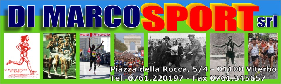 www.dimarcosport